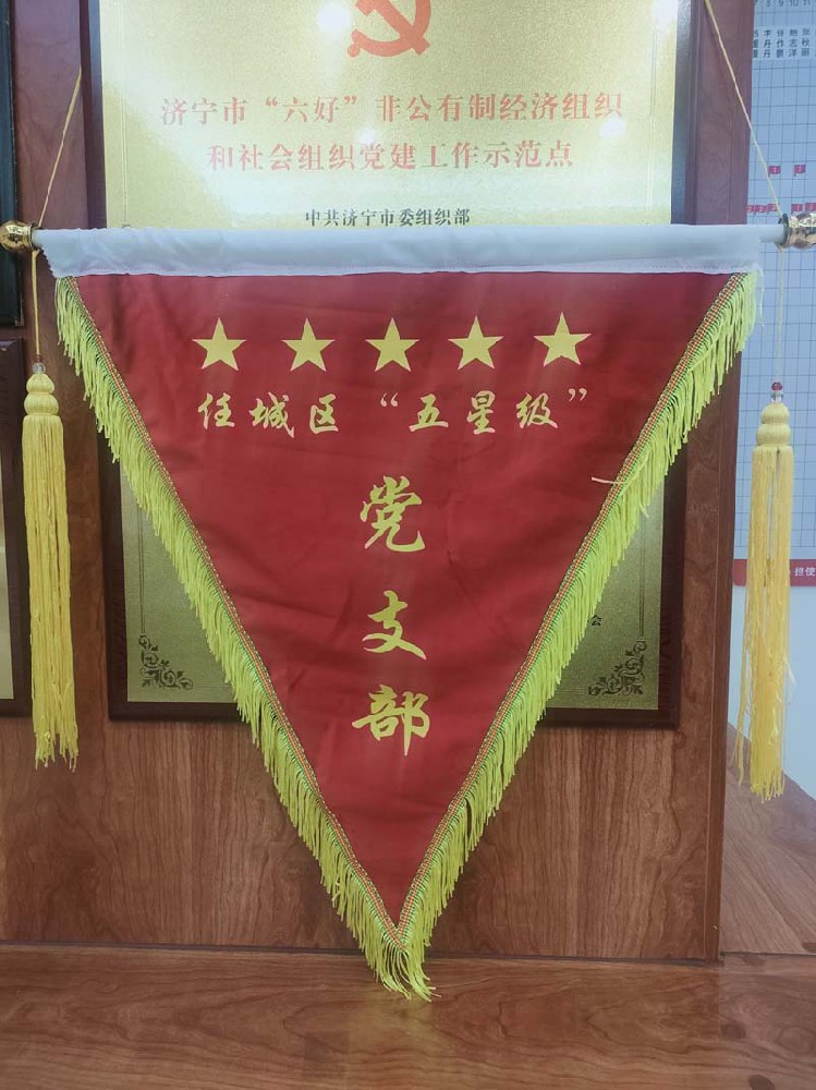 任城区区委组织授予集团公司“五星级”党支部红旗