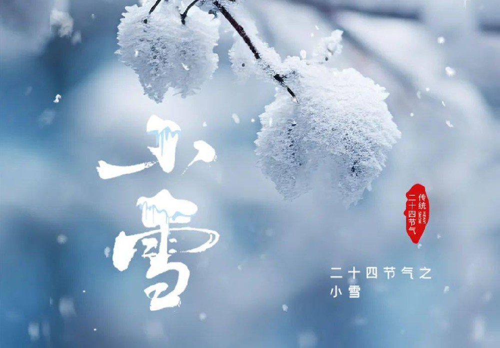 小雪 ▏霜花初凝 万物冬藏